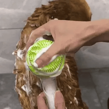 2-in-1 Pet Bath Brush with Built-In Soap Dispenser