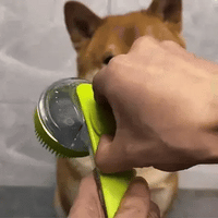 2-in-1 Pet Bath Brush with Built-In Soap Dispenser