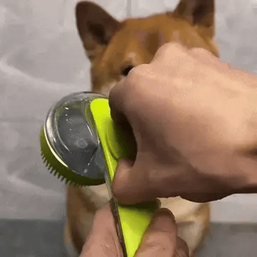 2-in-1 Pet Bath Brush with Built-In Soap Dispenser