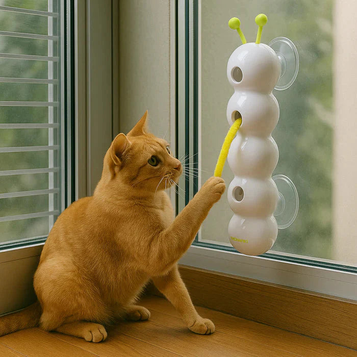 ThrillPlay™ Cat Wall Toy